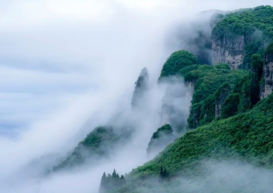 《七律.重阳思乡》(仄起首押)
